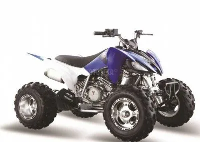 Квадроцикл Мотомир PANTERA 250 (машинокомплект)