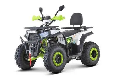 Квадроцикл FXMOTO (ФХМото) WASP 200 LUX белый (машинокомплект)