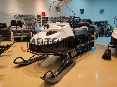 Снегоход БТС Арктик - 4Т Лонг Люкс 20 л.с.. эл. запуск. реверс. тормоз белый (машинокомплект)