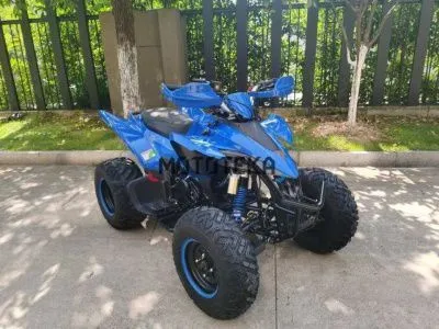 Квадроцикл Мотомир ATV SPORTY 250 синий (машинокомплект)