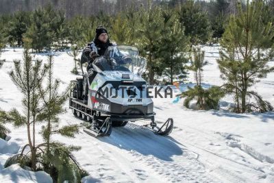 Снегоход БТС Арктик - 4Т Люкс 29 л.с.. эл. запуск. реверс. тормоз. белый (машинокомплект)