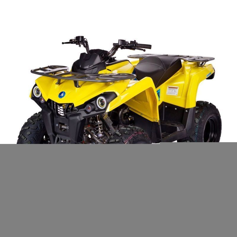 Квадроцикл Avantis (Авантис) Forester Long 200 Basic (А) (машинокомплект)