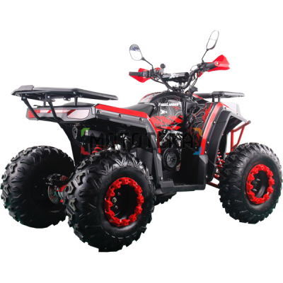 Квадроцикл Racer (Рейсер) FREELANDER PRO 200 XTS красный (машинокомплект)