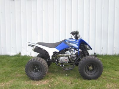 Квадроцикл детский Мотомир PANTERA 125 SPORT (машинокомплект)